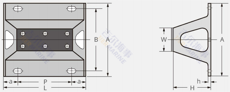Design do modelo TTV Fender